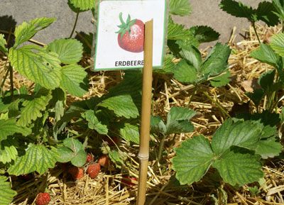 Kita Arche Noah Mainz-Weisenau