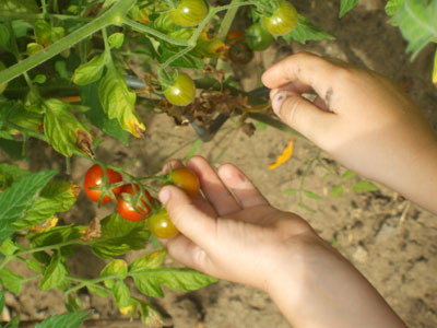 Kita Arche Noah Mainz-Weisenau